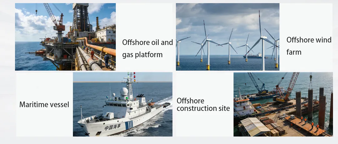 Application Scenarios of Offshore PAGA Systems Application Scenarios of Offshore PAGA Systems