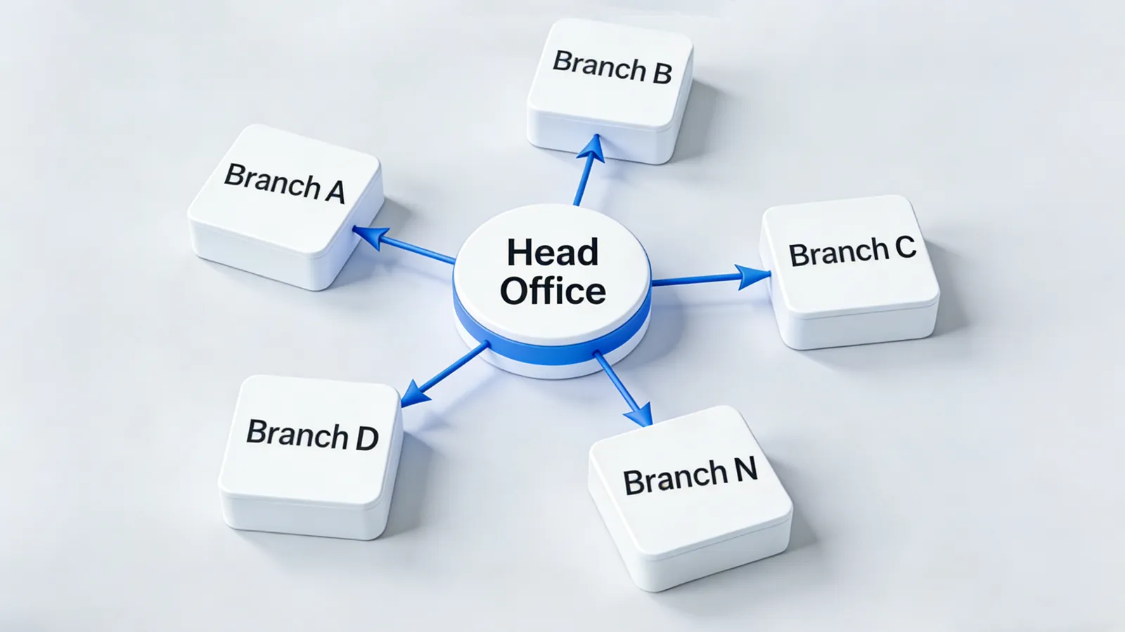 Multi-Branch Organizations