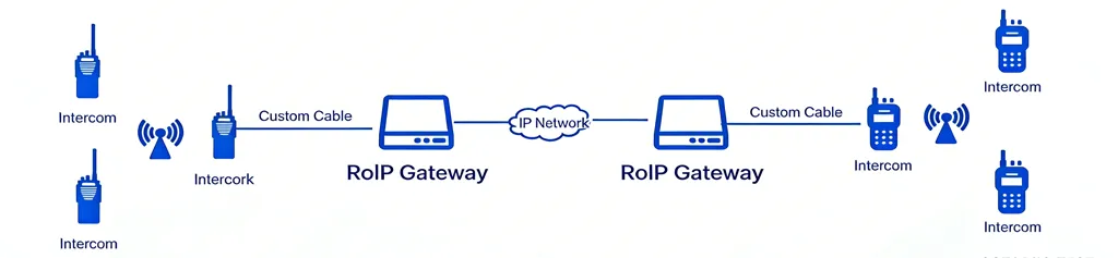 ROIP Gateway Remote Networking and Interconnection